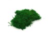 Premium Preserved Alpine Flat Moss Dark Green 200g Box