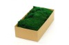 Premium Preserved Alpine Flat Moss Dark Green 100g Box