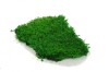 Premium Preserved Alpine Flat Moss Medium Green 200g Box