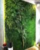 Premium Preserved Alpine Flat Moss Medium Green 100g Box