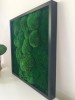Premium Preserved Alpine Pillow/ Bun Moss Light Green 0,6m2 Large Bulk Wholesale Box