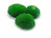 Premium Preserved Alpine Pillow/ Bun Moss Medium Green 0,6m2 Large Wholesale Box