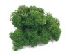 Purified Reindeer Moss Dark Green 2 kg FINNISH