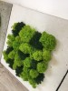 Purified  Reindeer Moss Dark Green 4kg FINNISH