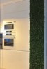 Reindeer moss wall panel 50 x 50 cm (0,25m2)  color - dark green