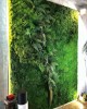 Premium Preserved Alpine Flat Moss Medium Green XL Wholesale Box