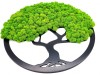 Large round moss tree diameter 45 CM