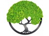 Large round moss tree diameter 45 CM