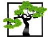 Large square moss tree 45 x 45 cm