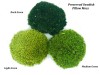 Preserved Swedish  Pillow Moss Light Green 0.1 m2