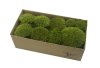 Preserved Swedish Pillow Moss Medium Green 0.1 m2