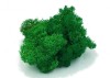 Purified Reindeer Moss Apple  Medium Green 0,5 kg FINNISH