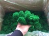 Purified Reindeer Moss Apple  Medium Green 0,5 kg FINNISH