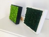 Painting made of dark green reindeer moss in a 25x25cm white wooden frame