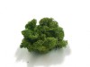 Purified Reindeer Moss Medium Green 2,5 kg Norwegian