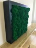 Reindeer Moss 5 kg Wholesale Box - Purified - Dark Green - Norwegian