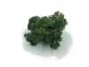 Reindeer Moss 5 kg Wholesale Box - Purified - Dark Green - Norwegian