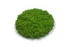 Pre-made Reindeer Moss Island Diameter 52 cm - Spring Green