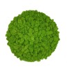 Pre-made Reindeer Moss Island Diameter 52 cm - Spring Green