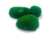 Premium Preserved Alpine Pillow/ Bun Moss Dark Green 150g Box