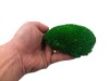 Premium Preserved Alpine Pillow/ Bun Moss Dark Green 150g Box