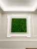 Premium Preserved Alpine Pillow/ Bun Moss Light Green Color 150g Box