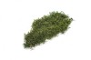 Preserved Polar Flat Moss Dark Green 100g Box