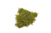 Preserved Polar Flat Moss Light Green 200 g Box