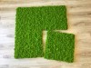 Reindeer moss wall panel 50x50 cm ( 0,25m2) / acoustic moss panel | color - spring green