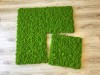 Reindeer moss wall panel 30x30 cm Preserved Moss Tile | color - spring green