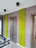 Reindeer moss wall panel 30x30 cm Preserved Moss Tile | color - spring green
