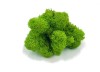 Purified Reindeer Moss Spring Green 0,5kg  FINNISH