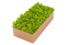 Purified  Reindeer Moss Spring Green 4kg FINNISH