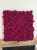 Purified Reindeer Moss Fuchsia 0,5 kg FINNISH