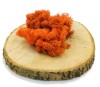 Purified Reindeer Moss Orange 0,5 kg FINNISH