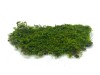 Preserved Swedish Flat Moss/ Forest Moss Light Green XL Bulk Box