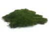 Preserved Swedish Flat Moss/ Forest Moss Medium Green XL Bulk Box