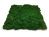 Flat moss wall panel 50 x 50cm | color - dark green