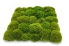 Pre-made Pillow Moss / Bun Moss Panel 50 x 50 cm (0,25m2) Pillow Moss Tile| color -  light green