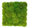 Pre-made Pillow Moss / Bun Moss Panel 50 x 50 cm (0,25m2) Pillow Moss Tile| color -  light green
