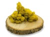 Purified Reindeer Moss Yellow 2 kg FINNISH