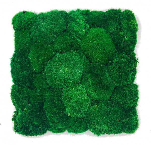 Pillow moss wall panel 30x30 cm - Pole Moss Tile| color - dark green